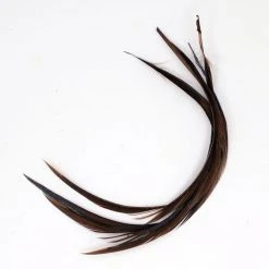 25% Off - Superfly Goose Biots Quills & Biots