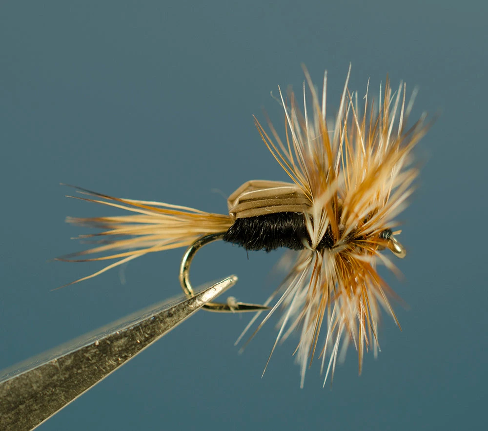 Dette Flies Humpy - Black Traditional Dries 1 Dette Flies Humpy - Black Traditional Dries