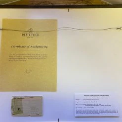 Dette Flies Walt Dette Project