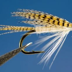 Dette Flies Light Cahill Wet