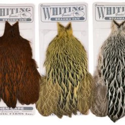 Whiting Farms - Brahma Hen Capes