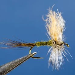 Dette Flies Minopi Wulff Traditional Dries