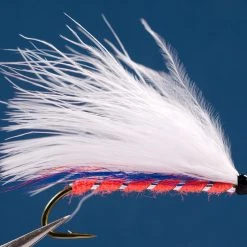 Dette Flies Montreal Whore