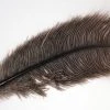 Ostrich & Emu 25% Off - Superfly Ostrich Plumes