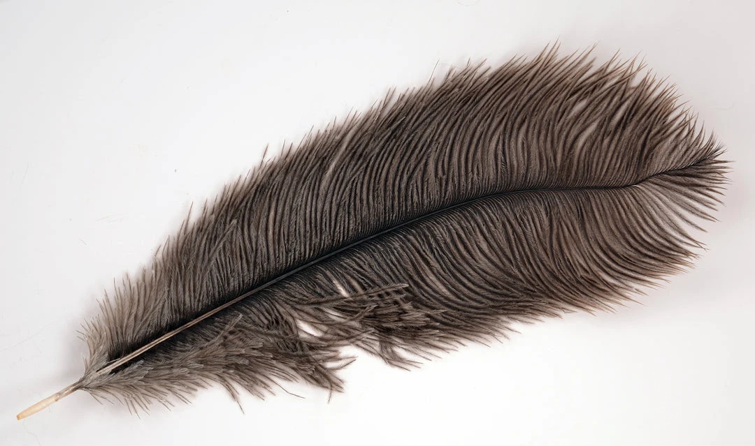 Ostrich & Emu 25% Off - Superfly Ostrich Plumes 1 Ostrich & Emu 25% Off - Superfly Ostrich Plumes
