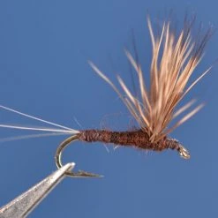 Dette Flies Paralep (Blue Quill) Comparadun