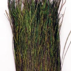 Hareline Strung Peacock Herl 5-7 Inch