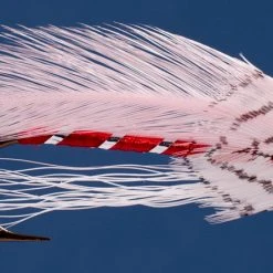 Dette Flies Streamers Pink Ghost