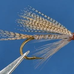 Dette Flies Quill Gordon Wet Winged Wets