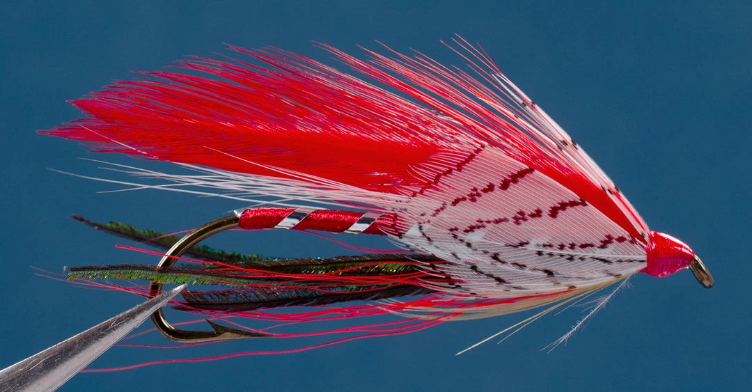 Dette Flies Red Ghost 1 Dette Flies Red Ghost