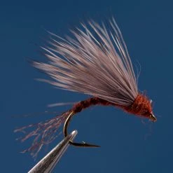 Dette Flies Red Quill Deer Emerger Emergers & Cripples