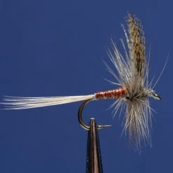 Dette Flies Red Quill Traditional Traditional Dries