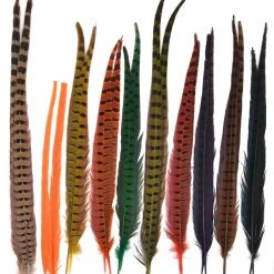 Hareline Ringneck Pheasant Tail Feathers