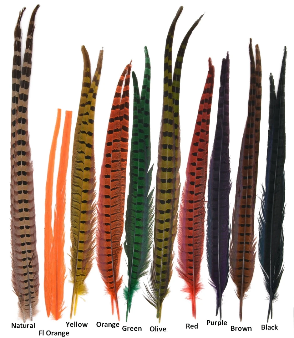 Hareline Ringneck Pheasant Tail Feathers 1 Hareline Ringneck Pheasant Tail Feathers