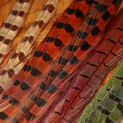 UV2 Ringneck Pheasant Tail Feather By Spirit River