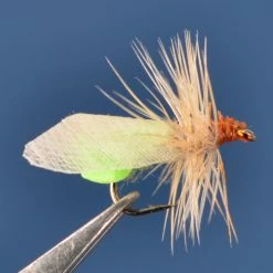 Dette Trout Flies SN's Apple Caddis Caddis Dries