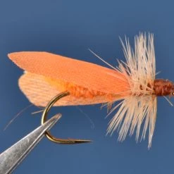 Dette Trout Flies Caddis Dries SN's October Caddis