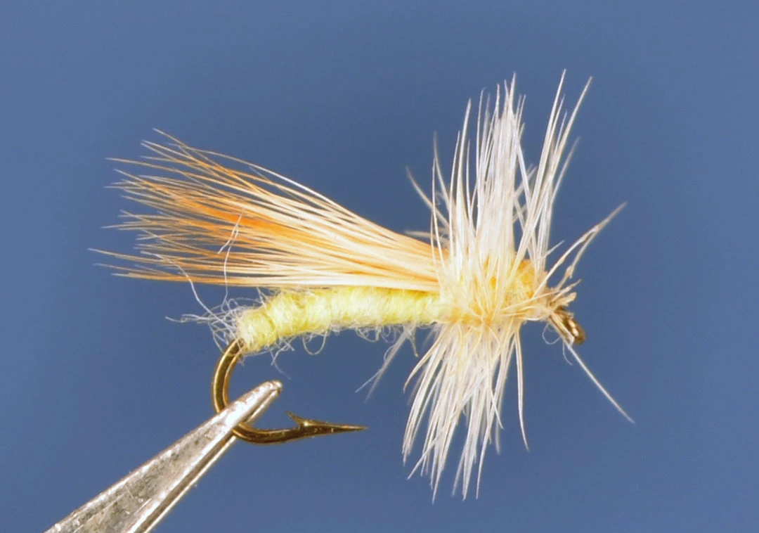 Dette Trout Flies Caddis Dries Solomon Caddis A 1 Dette Trout Flies Caddis Dries Solomon Caddis A
