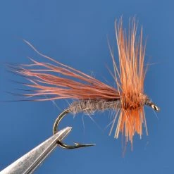 Dette Trout Flies Caddis Dries Solomon Caddis C