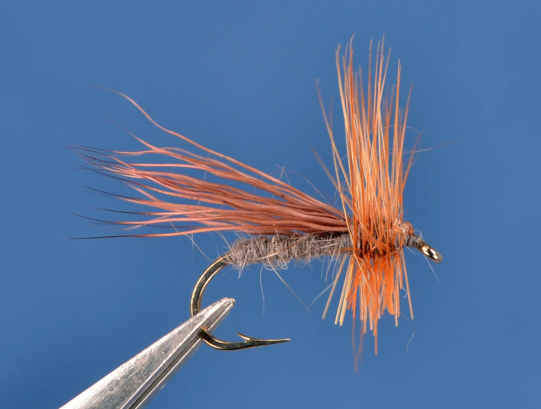 Dette Trout Flies Caddis Dries Solomon Caddis C 1 Dette Trout Flies Caddis Dries Solomon Caddis C