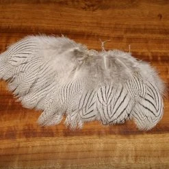 Hareline Silver Pheasant Body Feathers