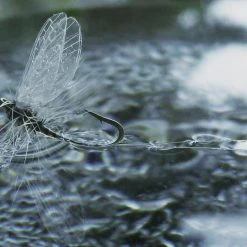 25% Off - Reel Wings - Spinner Wings Winging 5 25% Off - Reel Wings - Spinner Wings Winging