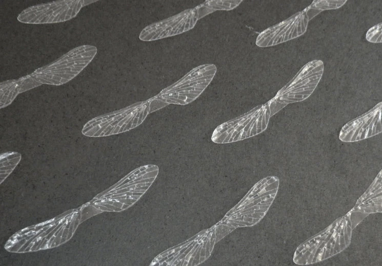 25% Off - Reel Wings - Spinner Wings Winging 1 25% Off - Reel Wings - Spinner Wings Winging