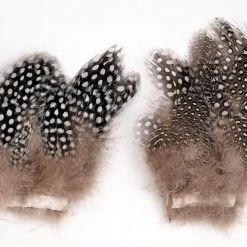 25% Off - Superfly Strung Guinea Fowl