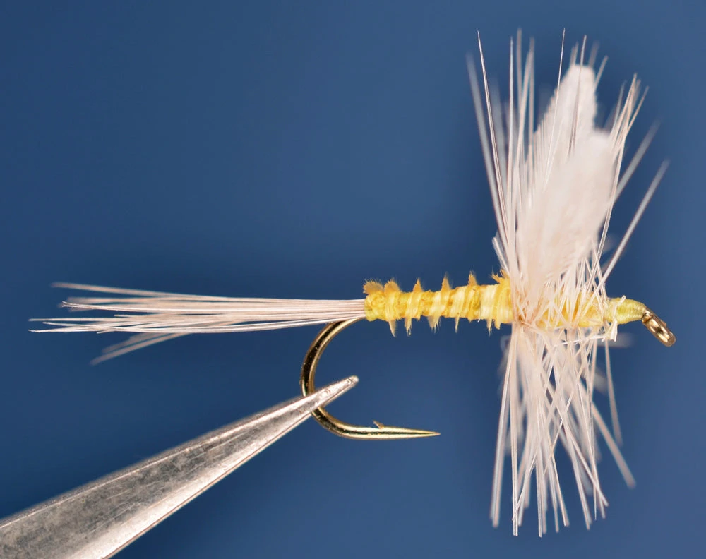 Dette Flies Dorothea Traditional, Biot Body 1 Dette Flies Dorothea Traditional, Biot Body