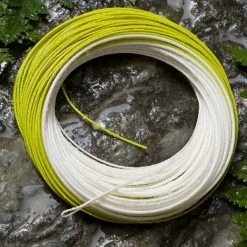Floating Lines Royal Wulff Triangle Taper Floating Plus Fly Line