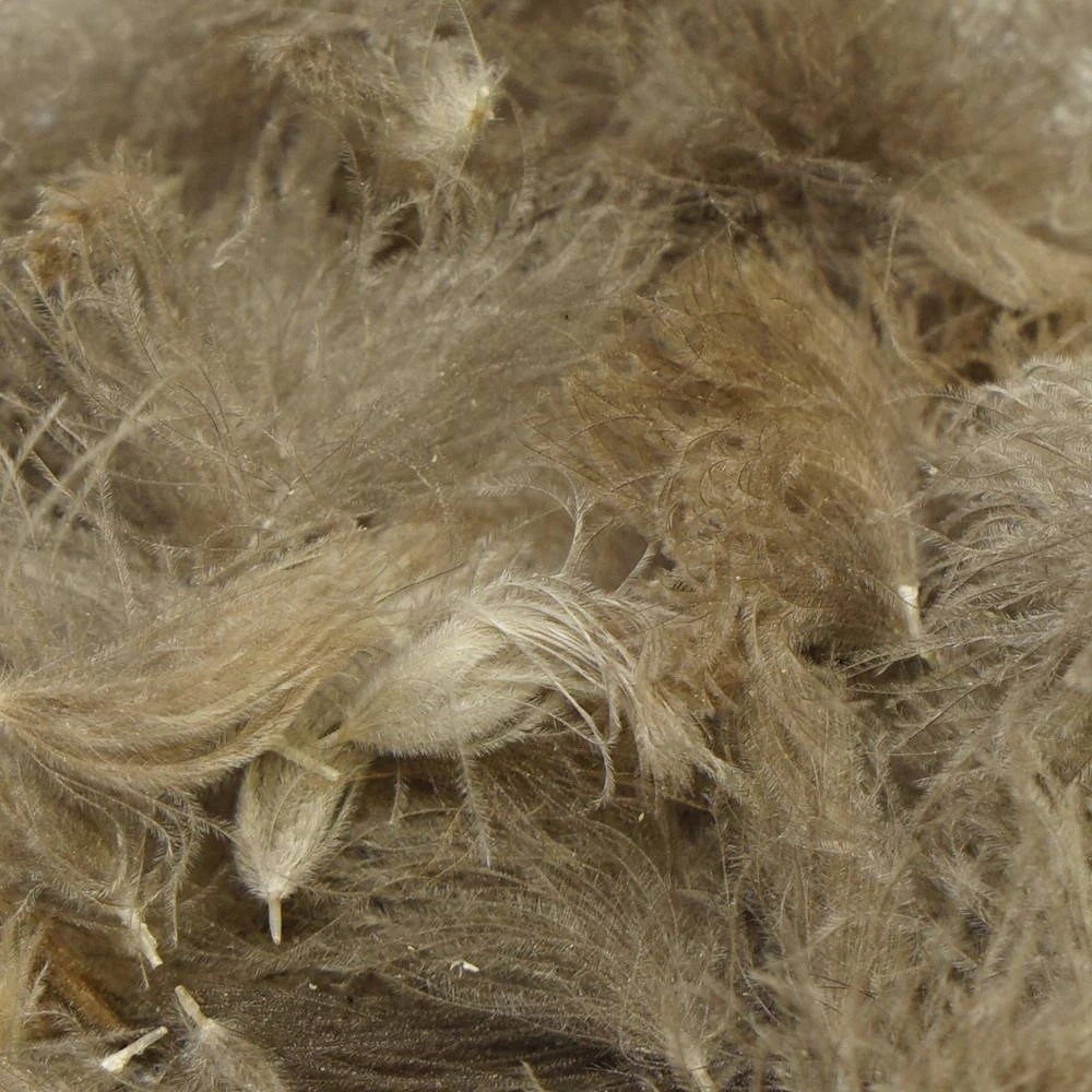 Trout Hunter Cul De Canard (CDC) TroutHunter CDC Puffs 1 Trout Hunter Cul De Canard (CDC) TroutHunter CDC Puffs