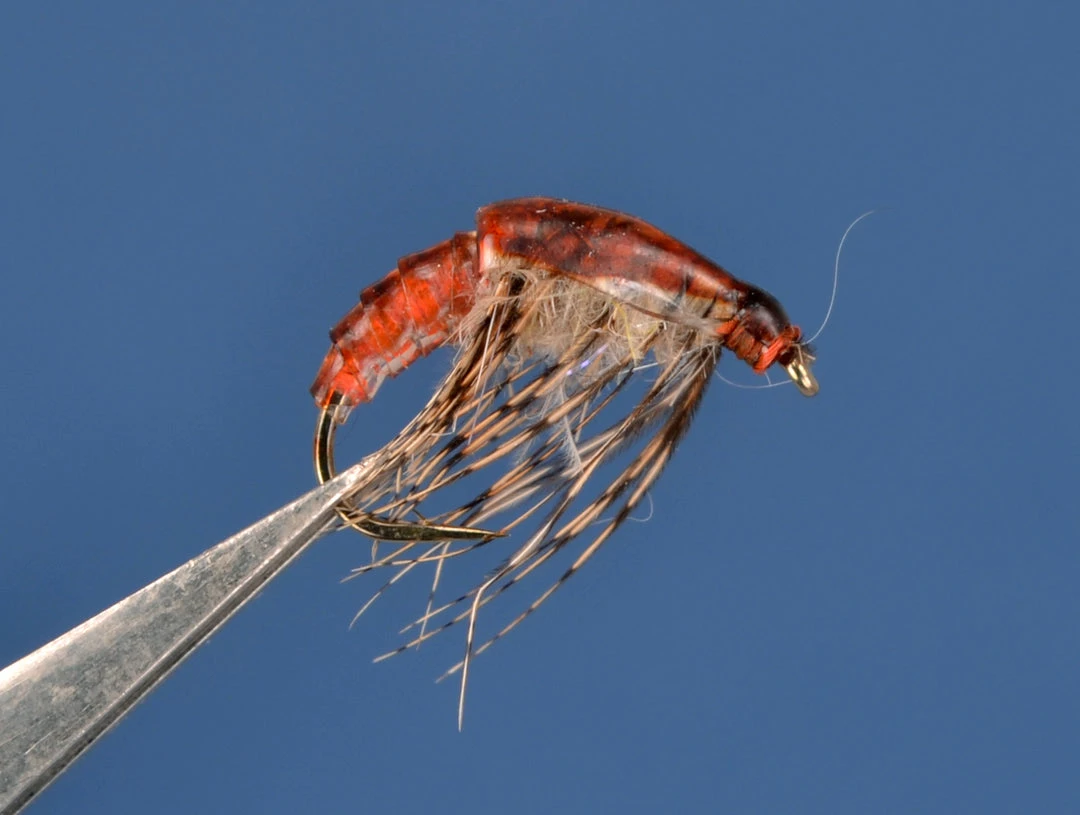 Body Materials Virtual Nymph Flexibody 2 Body Materials Virtual Nymph Flexibody