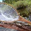 Sunny Brook Nets - Winooski