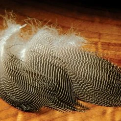 Hareline Gadwall Feathers