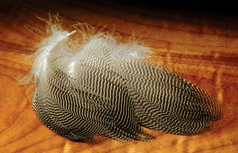 Hareline Gadwall Feathers 1 Hareline Gadwall Feathers